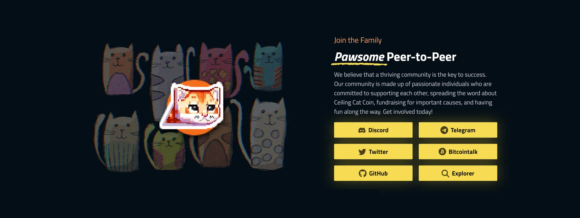 A section on Ceiling Cat Coin's website showcasing the coin's community and links to other platforms.